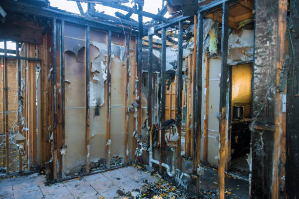 Professional Smoke Damage Removal technician working in Saint Paul Park, MN